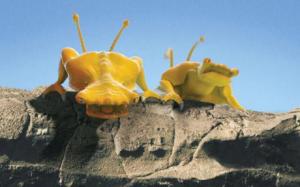 Stephen Hawking's aliens